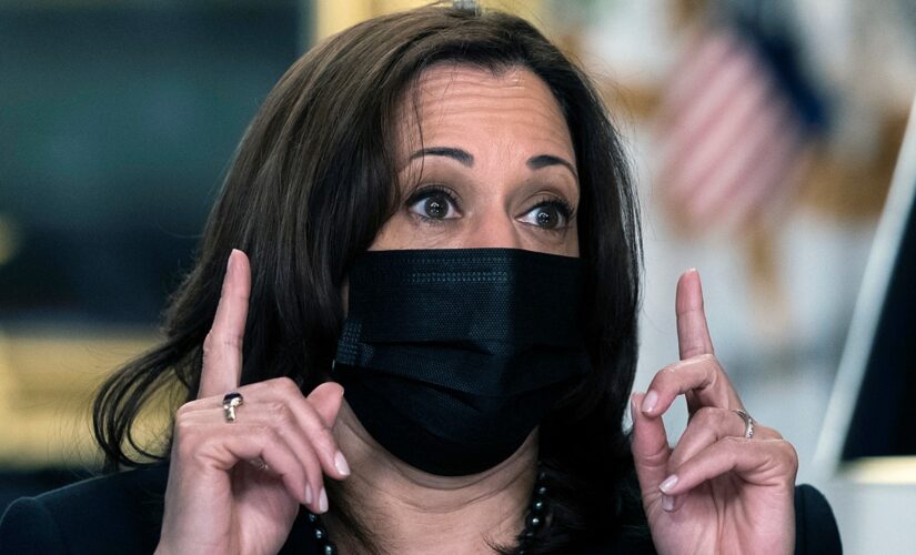 Kamala Harris will play ‘diplomatic’ role in migration crisis, White House says