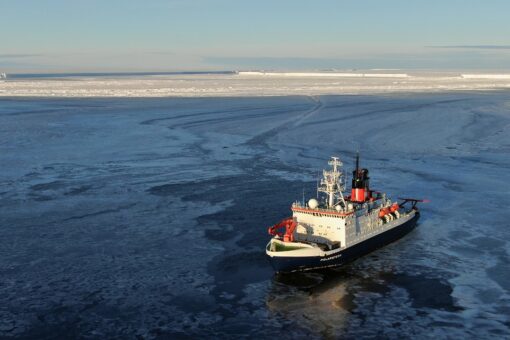 Scientists discover Antarctic marine life trapped under ice for half a century