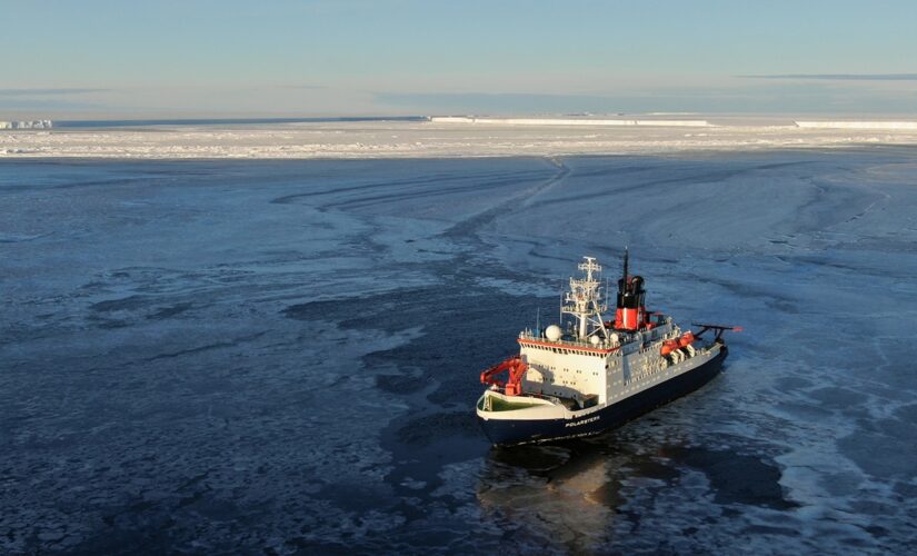 Scientists discover Antarctic marine life trapped under ice for half a century