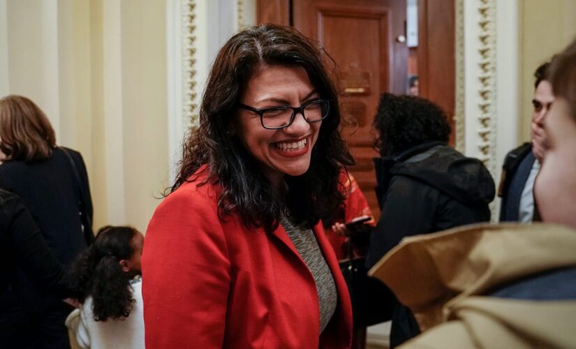 Tlaib bill would give everyone $2G a month during pandemic, including illegal immigrants