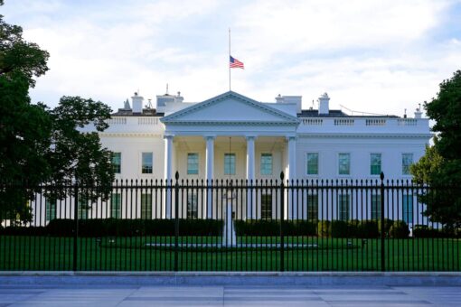 White House reporter accuses Pakistani immigrant’s son of pushing ‘far-right narratives’ for DC murder concern