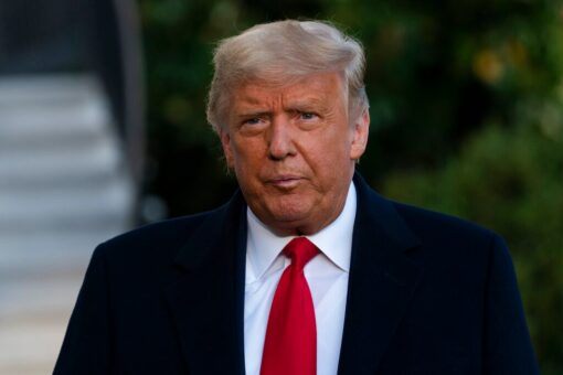 Trump tells Fox News the Biden admin ‘enforcing nothing’ as migrants make it into the US despite health order