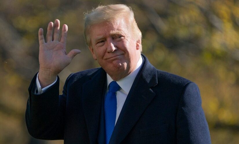 Trump endorses incumbent Georgia GOP head for reelection
