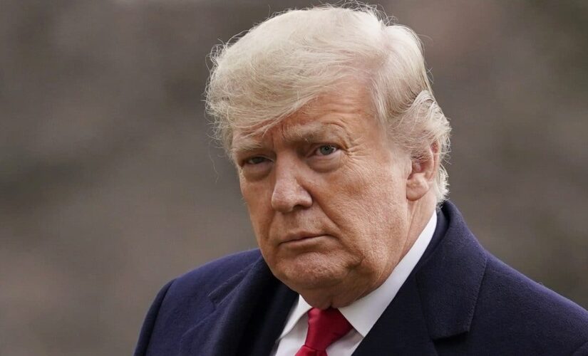 Trump accuses Fauci, Birx of ‘trying to reinvent history’ on COVID-19 response
