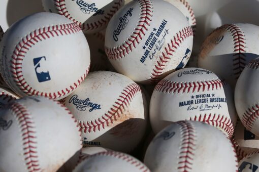 Gambler pleads guilty to threatening Tampa Bay Rays players