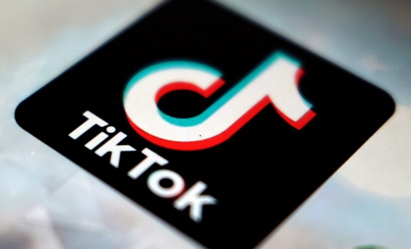TikTok user forced to show fake leg to shut down lady over a handicap spot