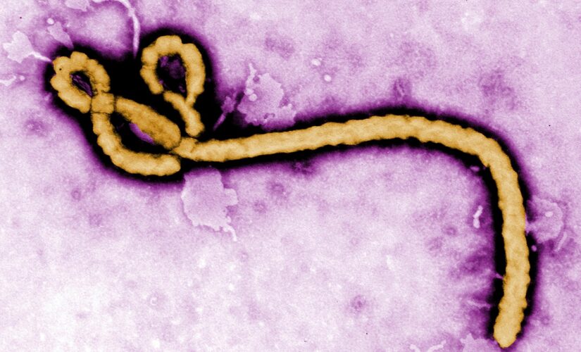 Ebola may have lingered in a survivor for 5 years before sparking new outbreak