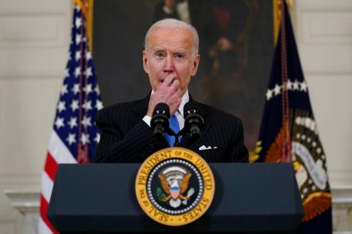 Biden won White House with ‘put your dumb uncle in the basement’ strategy, new book says