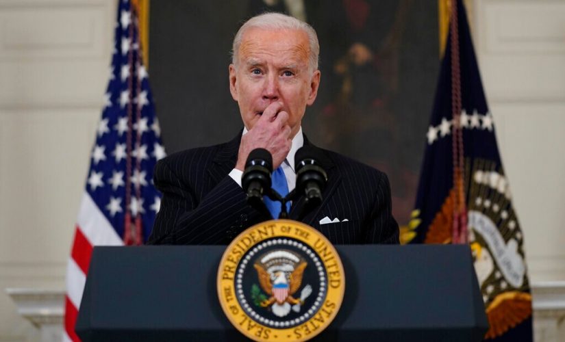 Biden won White House with ‘put your dumb uncle in the basement’ strategy, new book says