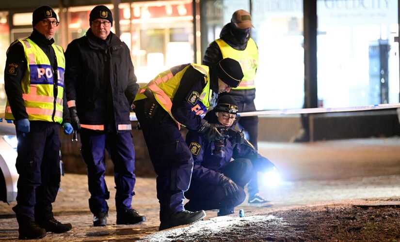 Sweden: Terrorism eyed after ax attack injures 8