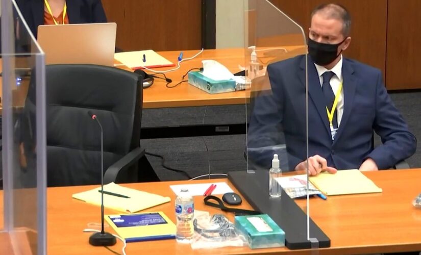 Derek Chauvin jury pool reaches 9; trial selection continues