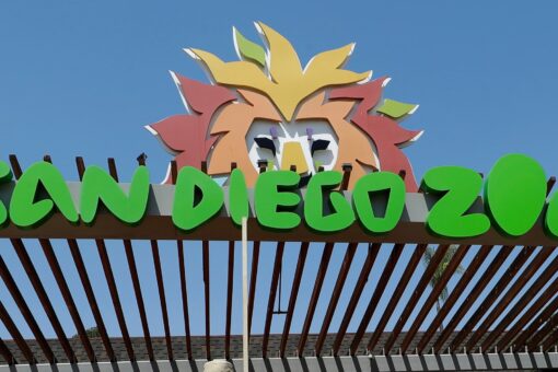 San Diego man arrested for taking 2-year-old inside elephant exhibit at zoo