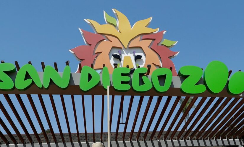 San Diego man arrested for taking 2-year-old inside elephant exhibit at zoo