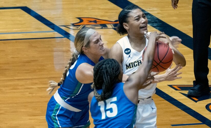 Brown leads Michigan to 87-66 win over Florida Gulf Coast