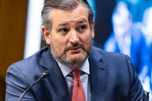 Biden staffer blocks Ted Cruz from taking video at migrant facility