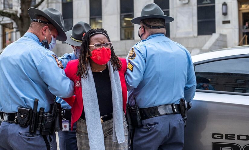 Who is Park Cannon? Georgia state Democrat was arrested at statehouse