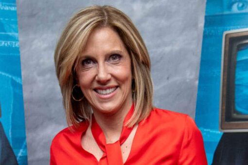 CNN’s Alisyn Camerota blasted for ‘ignorant’ suggestion that gun shop owners probe mental health of customers