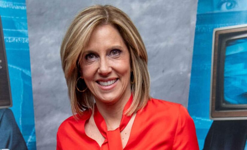 CNN’s Alisyn Camerota blasted for ‘ignorant’ suggestion that gun shop owners probe mental health of customers