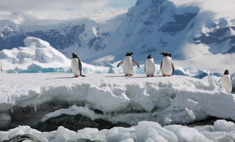 Cruise to Patagonia, Antarctica will see total solar eclipse this December