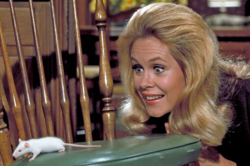 ‘Bewitched’ movie in the works at Sony