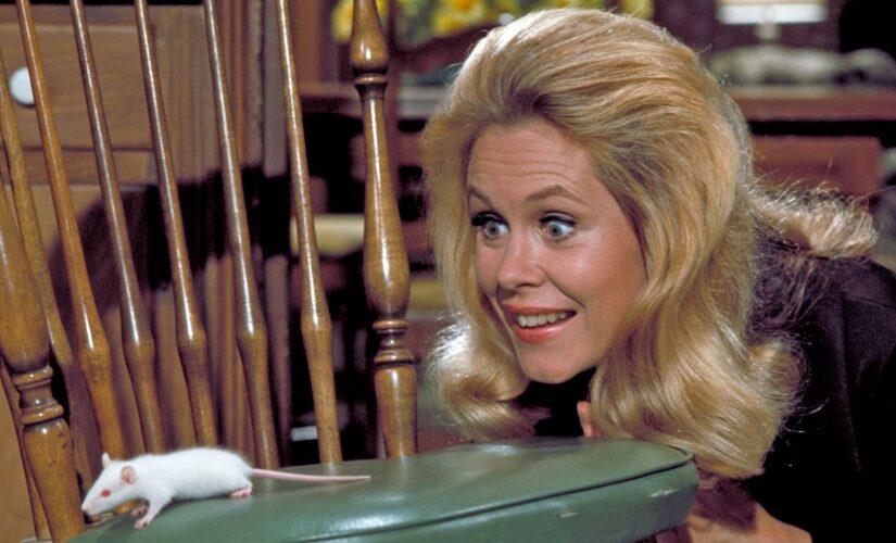 ‘Bewitched’ movie in the works at Sony