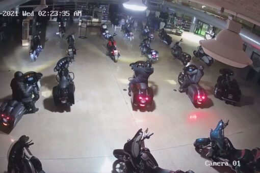 Indiana burglars steal Harley-Davidson motorcycles, drive out through front door
