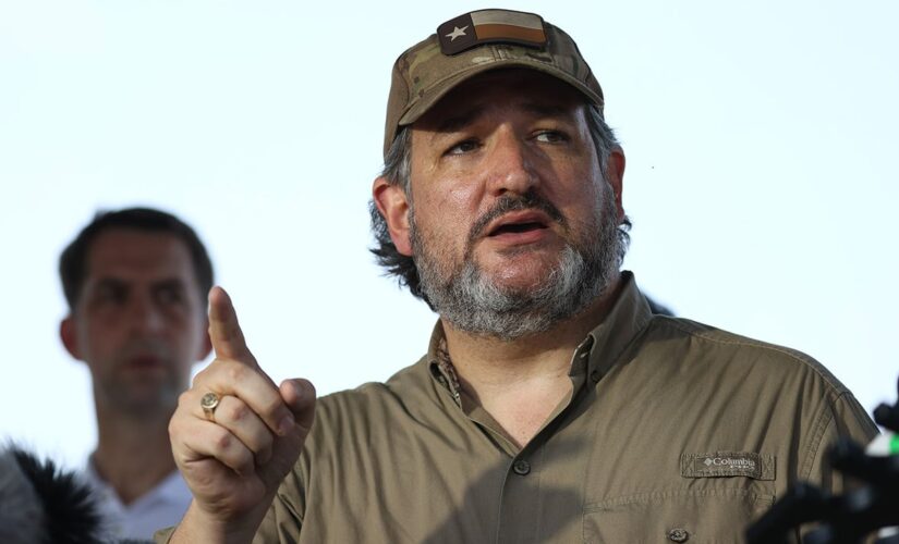 Sen. Cruz on trip to packed border facilities: We saw a ‘manmade’ humanitarian disaster