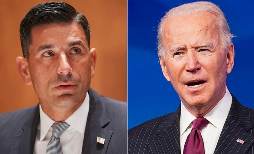 Chad Wolf warns migrants won’t listen to Biden’s ‘don’t come’ plea