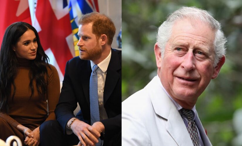 Prince Charles wanted to issue detailed rebuttal after Prince Harry, Meghan Markle interview: report