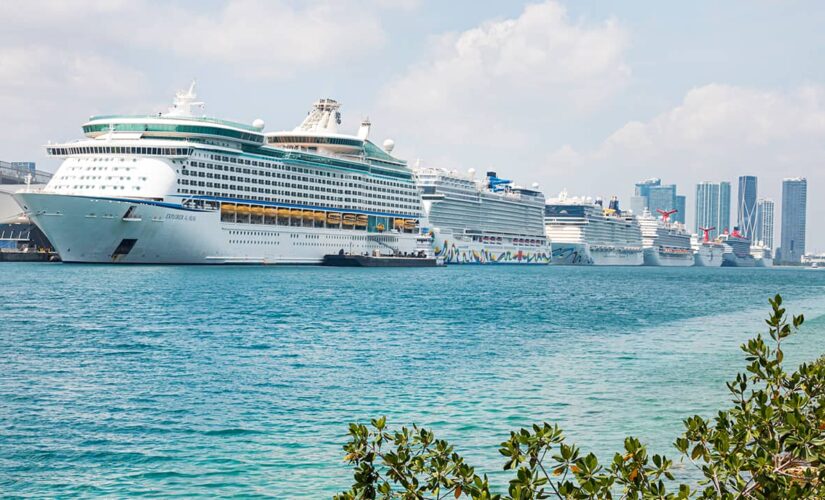 Cruise line association calls on CDC to lift conditional sailing order in early summer