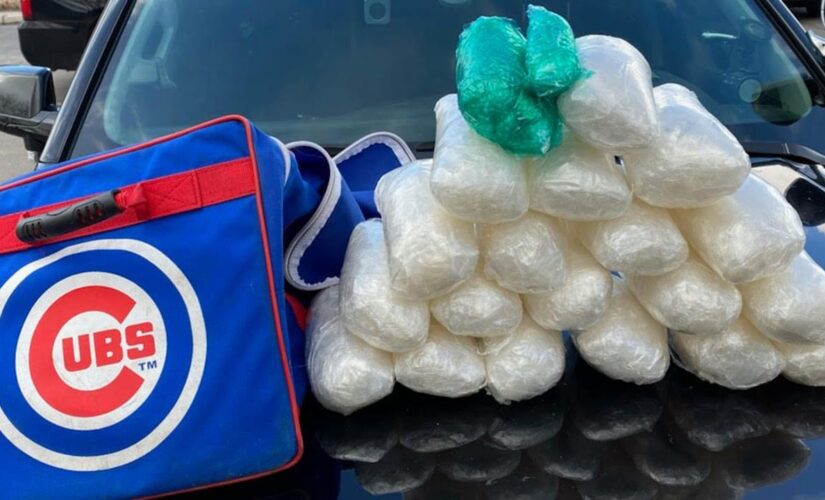 Cubs prospect Jesus Camargo-Corrales arrested after police find 21 pounds of meth in team bag