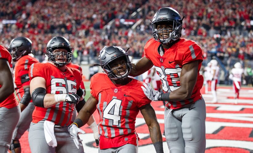 Washington’s Terry McLaurin excited over team’s reported signing of Curtis Samuel