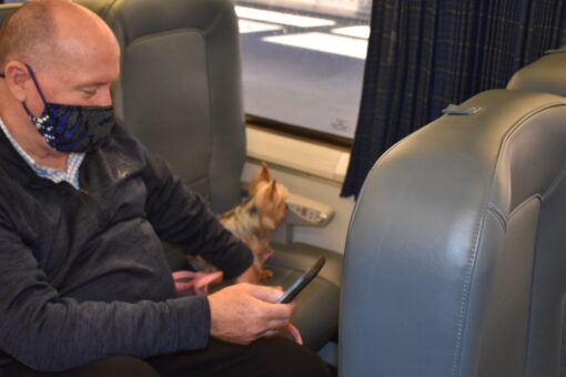 Amtrak adds new options to bring pets on trains