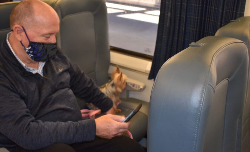 Amtrak adds new options to bring pets on trains