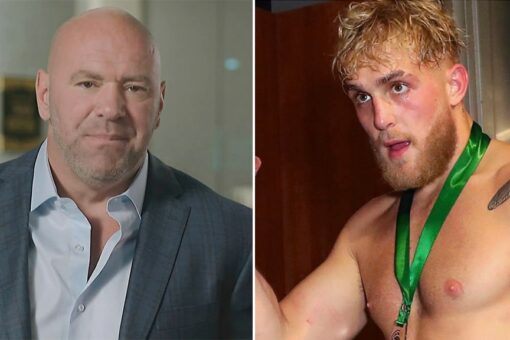 Dana White says he’d bet $1M against YouTube star in upcoming fight