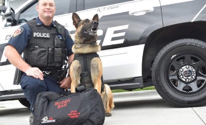 North Carolina police K-9 shot, undergoes surgery, reportedly doing OK