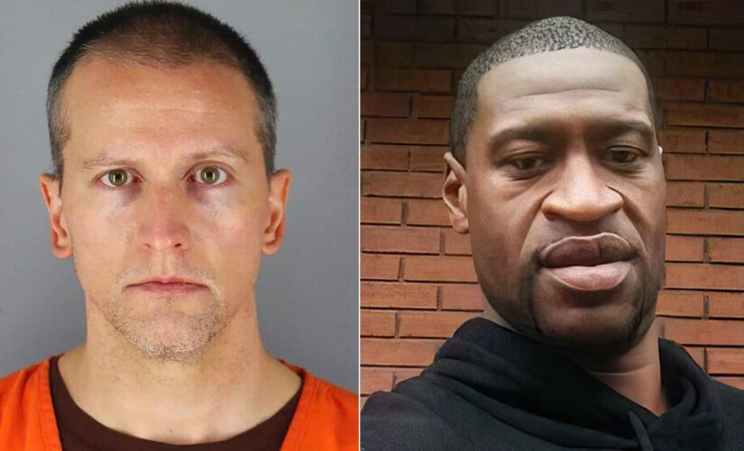 Derek Chauvian trial jurors: Who are they?