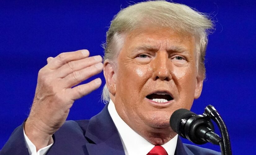 Trump’s pollster says the Republican Party is made up of these ‘five tribes’