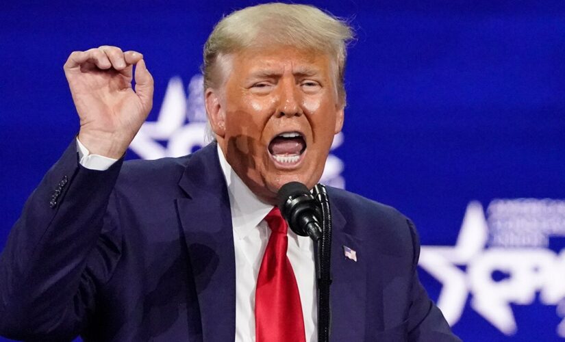 Trump tells supporters ‘No more money for RINOS’ as he battles GOP over fundraising with his likeness