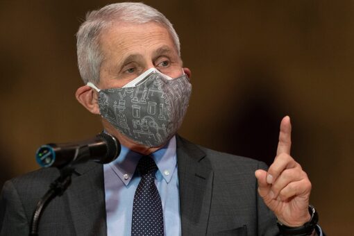 Fauci believes COVID-19 had time to ‘adapt in the wild’ in early days