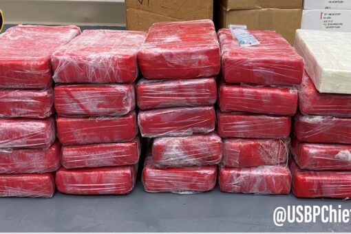 Florida snorkeler finds $1.5 million worth of cocaine