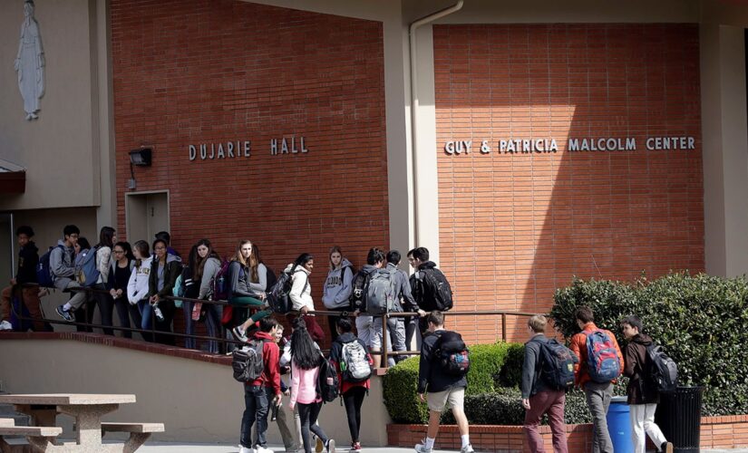 California approves 900-page Ethnic Studies Model Curriculum