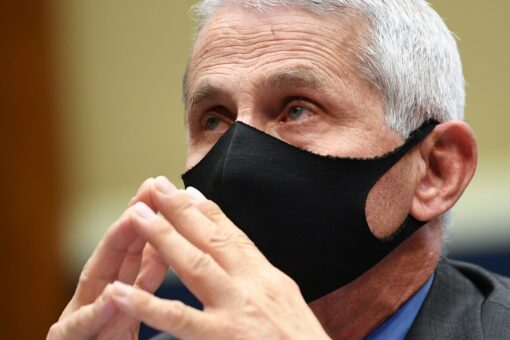 Trump voters blast Fauci as ‘self-serving’, ‘liar’, want doctors to deliver vaccine message: Frank Luntz