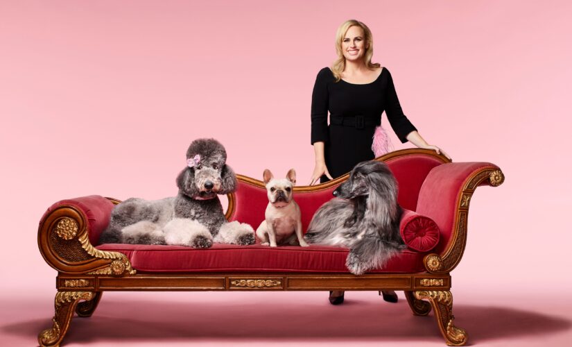 Dog grooming show ‘Pooch Perfect’ slammed on Twitter over claims of ‘animal abuse’