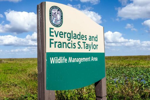 Man arrested after allegedly shooting at Everglades National Park rangers