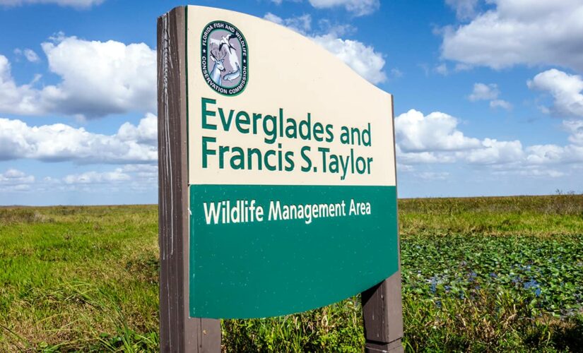 Man arrested after allegedly shooting at Everglades National Park rangers