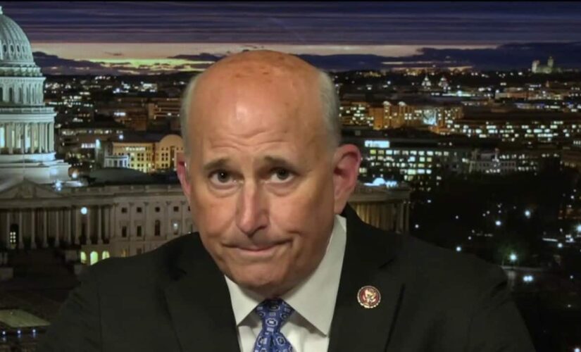 Rep. Gohmert’s $5K metal detector fine upheld by House ethics committee
