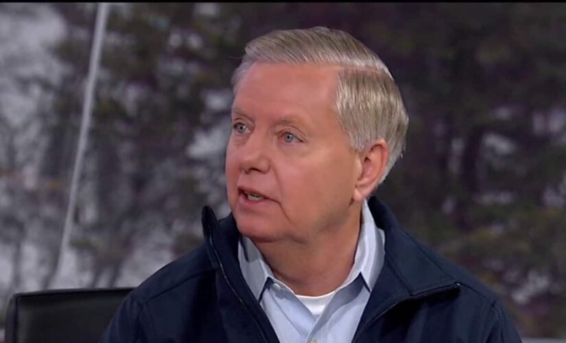 Graham blasts Biden’s lack of  ‘situational awareness’ on southern border surge