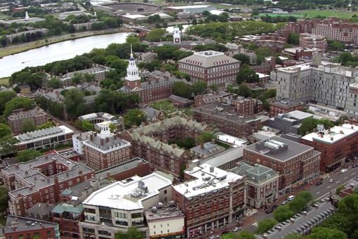 Harvard apologizes for telling Asians ‘You may wish that you weren’t Asian’