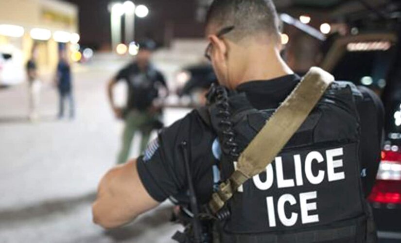 ICE launching new appeals process for immigrants facing deportation, detention